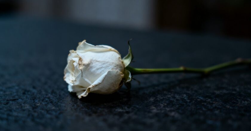 Understanding Asbestos Lung Cancer Wrongful Death Lawsuits